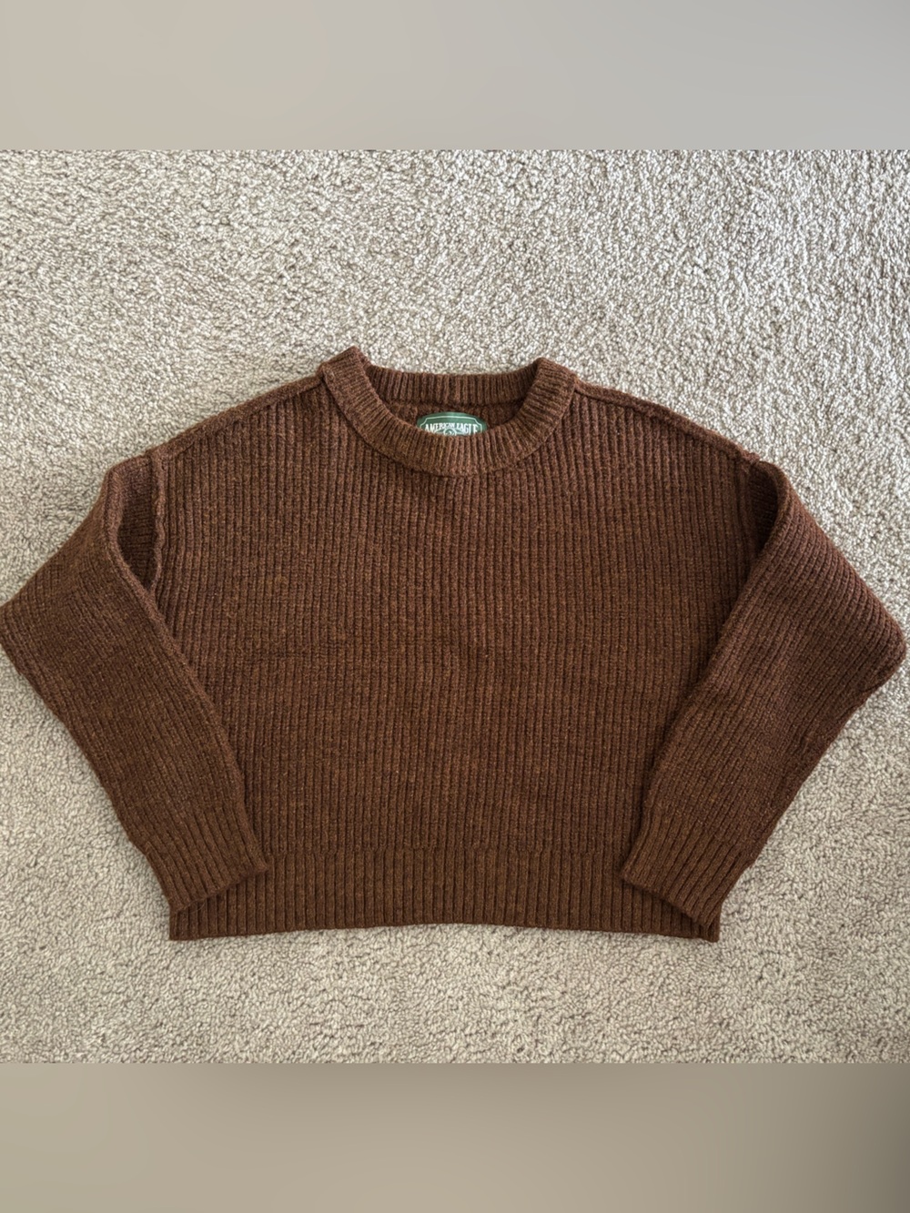 Classic Ribbed Cropped Crewneck Sweater in Brown